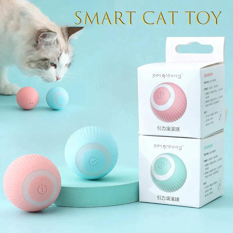 Bolinha interativa para gatos - DeMaiShop